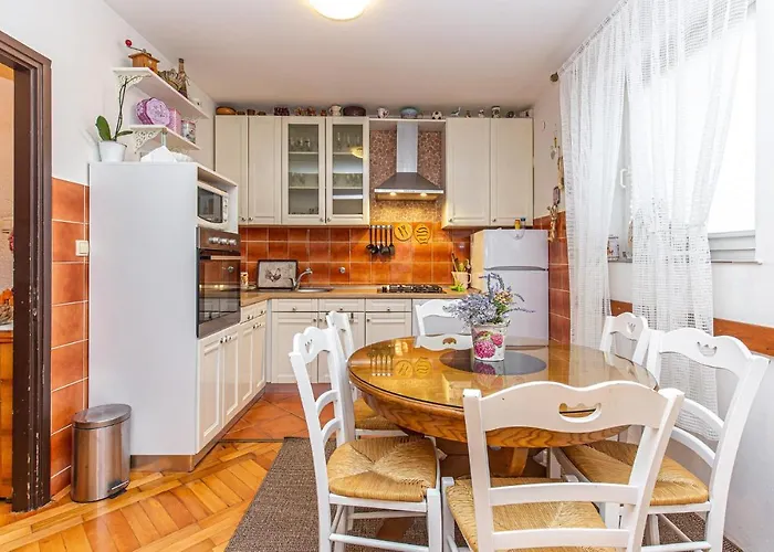 Pet Friendly Novi Vinodolski